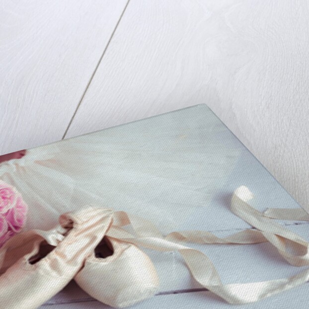 Ballet shoes and skirt by Assaf Frank